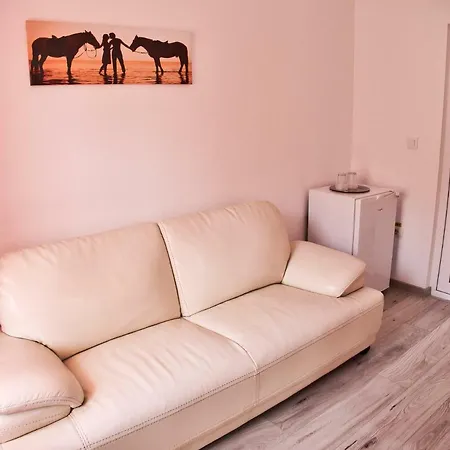 Casa Pelicanul *