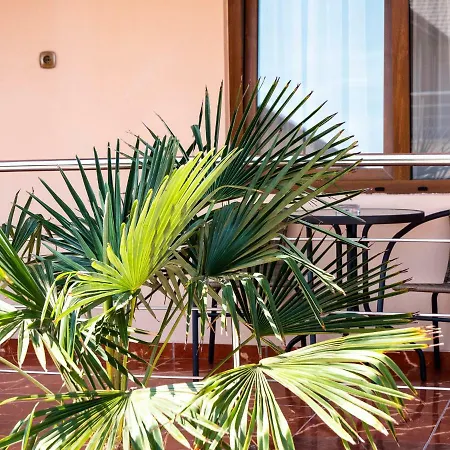 Casa Pelicanul