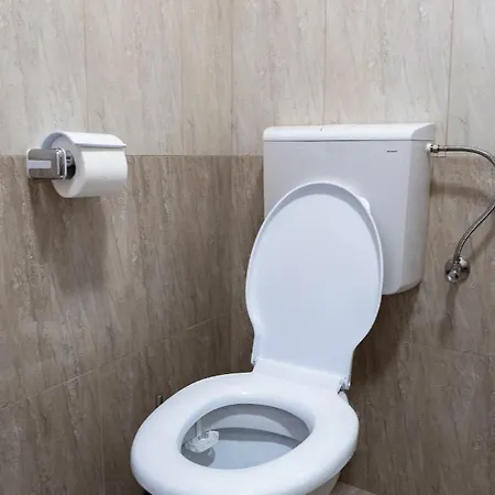 ゲストハウス Casa Pelicanul コスティネシュティ